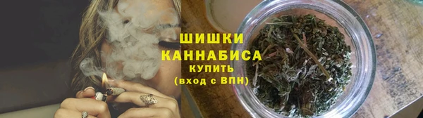 прущие крисы Белокуриха