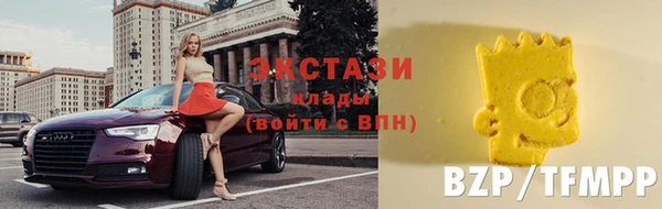 индика Гусь-Хрустальный