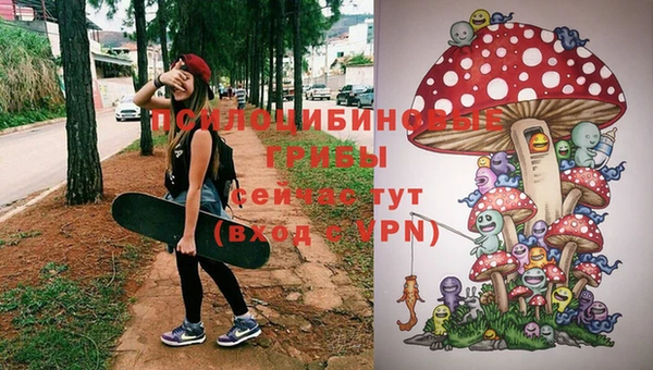 прущие крисы Белокуриха