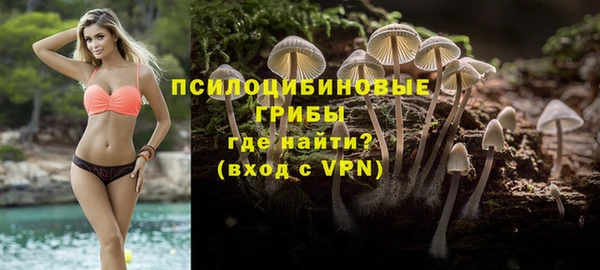 крисы Белоозёрский