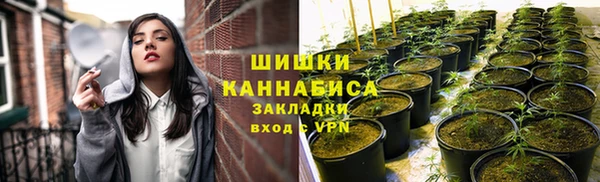 прущие крисы Белокуриха