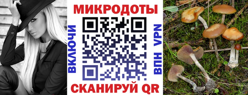 МЕГА сайт  Гудермес  Псилоцибиновые грибы Cubensis 